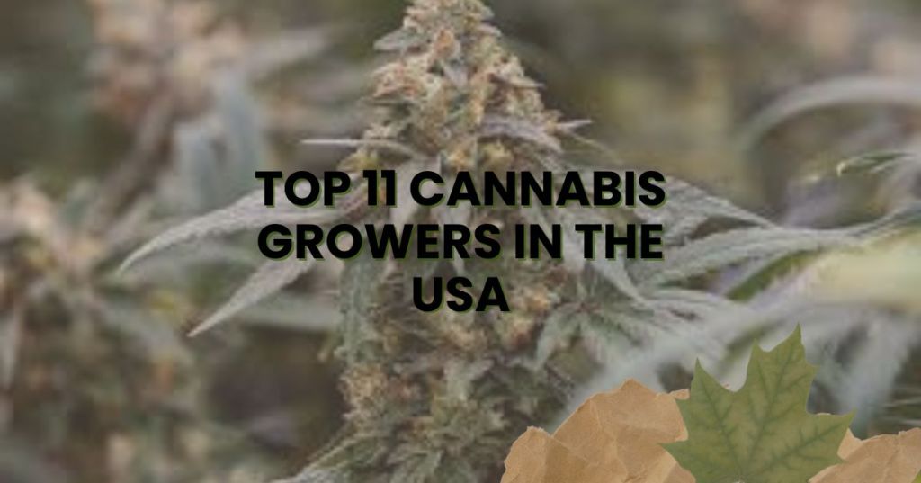 Top 11 Cannabis Growers in the USA